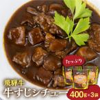 飛騨牛すじシチュー 400g×3袋