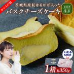 お 熨斗付き 猿島産 抹茶 入り お芋の結 バスクチーズケーキ