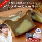 猿島産 ほうじ茶 入り お芋の結 バスクチーズケーキ