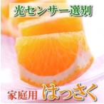 ふるさと納税 家庭用 はっさく10kg＋250g（傷み補償分）【八朔みかん】【訳あり・わけあり】［IKE30］ 和歌山県九度山町