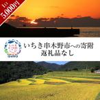 いちき串木野市への寄付（返礼品なし）