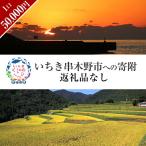 いちき串木野市への寄付（返礼品なし）