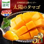 完熟マンゴー 太陽のタマゴ 5L×1玉