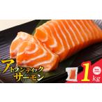 ふるさと納税 【期間限定】アトランティックサーモン 1.1kg（1kg＋はしっこ 100g） 刺身用ポーション 小分け 真空パック 大阪府泉佐野市