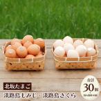 卵 淡路島もみじ 淡路島さくら 詰め合わせ