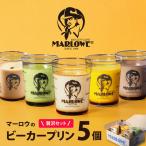 ビーカープリン 5個セット プリン