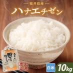 ハナエチゼン10kg 5kg×2袋