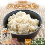 定期便 ハナエチゼン20kg×3回 計60kg