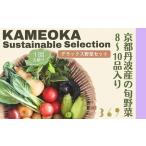 丹波産の旬野菜セット 有機 野菜