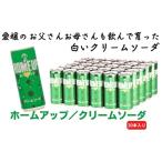 クリームソーダ らくれん ホームアップ