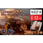 ふるさと納税 定期便12カ月 お楽しみ 白老牛 ジューシー ハンバーグ セット 5個 網脂 特製ソース 手造り 手ごね BY099 北海道白老町