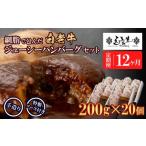 ふるさと納税 定期便12カ月 お楽しみ 白老牛 ジューシー ハンバーグ セット 20個 網脂 特製ソース 手造り 手ごね BY105 北海道白老町