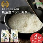 昔ながらの魚沼産コシヒカリ 精米4kg 2kg×2袋