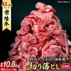 全12回 切り落とし 900g