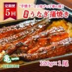 うなぎの蒲焼 5回 定期便