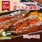 うなぎの蒲焼 6回 定期便