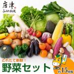 野菜セット 新鮮とれたて旬の野菜 季節の野菜