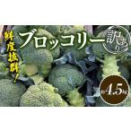 鮮度抜群 訳ありブロッコリー 約4.5kg