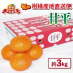 甘平 みかん 高級柑橘 優品 3kg