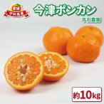 ポンカン10kg 平石農園 みかんB011-017003