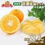 甘夏 12.5kg