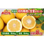 ふるさと納税 河内晩�