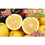 ふるさと納税 愛媛み�