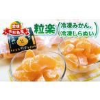 ふるさと納税 冷凍 みかん 2袋 冷凍 しらぬい 1袋 各500g 粒楽 皮なし 冷凍みかん 南四国ファーム 冷凍みかん 冷凍みかん J012-035009 愛媛県宇和島市