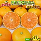 早生 みかん 10kg