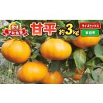 ふるさと納税 甘平 3kg 家庭用 サイズ 不揃い 陽だまりミカン 高級 限定 愛媛県産 ブランド オリジナル 品種 希少 甘い シャキシャキ 果物 く.. 愛媛県宇和島市