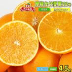 屋根かけ愛果28号 まどんな 4.5kg陽だまりミカン│B018-0500…