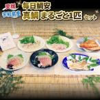 真鯛 まるごと 一匹 セット 毎日鯛安 宇和島プロジェクト