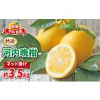 ふるさと納税 贈答用 �