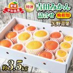 フルーツ 用柑橘詰合せ約3.5kg 矢野青果フルーツB018-171038