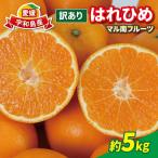 訳あり はれひめ 5kg
