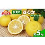 ショッピングふるさと納税 訳あり 不揃い ふるさと納税 訳あり はるか みかん 5kg 不揃い マル南フルーツ はるかみかん 先行予約 果物 くだもの フルーツ 甘い 爽やか 美味しい 柑橘 蜜.. 愛媛県宇和島市