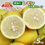 訳あり 檸檬 5kg