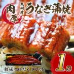 ふるさと納税 肉厚九州うなぎ蒲焼1�