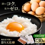 3回定期便 彩り天佑卵 30個