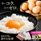 彩り天佑卵 30個入り