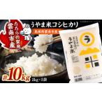 うやま米 10キロ