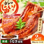 活うなぎの蒲焼 2本入
