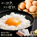 卵 彩り天佑卵平飼いたまご30個