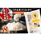 うやま米 コシヒカリ 白米 8kg