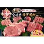 ふるさと納税 数量限定 6か月 お楽しみ 定期便 宮崎牛 贅沢 満喫 セット 総重量2.5kg 黒毛和牛 ブランド牛 牛肉 国産 ビーフ 人気 食品 焼肉 ス.. 宮崎県日南市