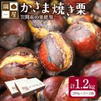 焼き栗 栗 1.2kg