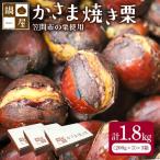 焼き栗 栗 1.8kg