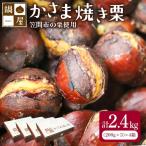 焼き栗 栗 2.4kg