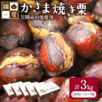 焼き栗 栗 3kg