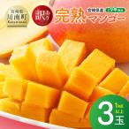 完熟マンゴー 3玉